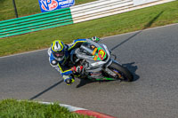 PJ-Motorsport-Photography-2018;enduro-digital-images;event-digital-images;eventdigitalimages;mallory-park;mallory-park-photographs;mallory-park-trackday;mallory-park-trackday-photographs;no-limits-trackdays;peter-wileman-photography;racing-digital-images;trackday-digital-images;trackday-photos